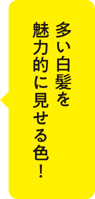 初めての白髪染めにもおすすめの色！